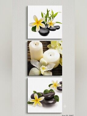​Set of 3 Zen Spa Canvas Wall Art – Frangipani Flowers, Stones & Candles